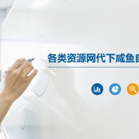 各类资源网代下咸鱼自动发货