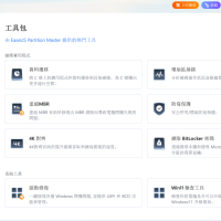 EaseUS Partition Master 易我分区大师 v19.6.0 Build 20250312