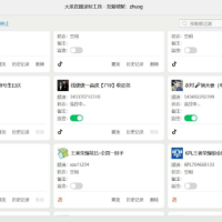 大圣直播录制工具 是一款支持抖音和快手的直播录制的软件