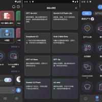 AI chat69.0破解版，内置全球多个最新大模型/最强人工智能助手