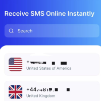 虚拟手机号 接验证码 无限注册纸飞机推特油管小号