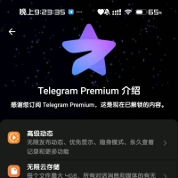 电报v11.5.5，解锁会员内置豪华模块！
