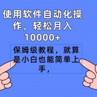 使用软件自动化操作，轻松月入1W+，保姆级教程，就算是小白也能简单上手，