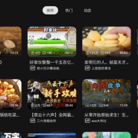 BV0.3.10支持动态|杜比视界/哔哩哔哩第三方TV版