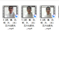 [出马仙]出马仙.兵.马讲座11集