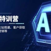 AI外贸特训营：AI快速选品、独立站搭建、客户获取、邮件营销、品牌营销等