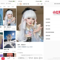 安卓小红书v8.24.0.5精简版