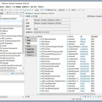 Dbeaver community数据库管理v25.0.5绿色版