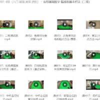 台球专业班付费教程 1-4级（入门 基础 高级 进阶）
