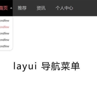 layui黑色二级导航菜单下拉程序代码