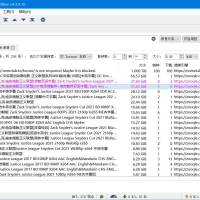 BT下载工具 qBittorrent v5.1.2.10便携增强版