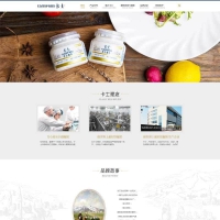 html酸奶制品企业官方网站网页模板 响应式