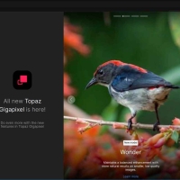 乱七八糟聚合类工具箱v1.4.18解锁VIP会员版