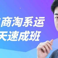 白凤电商淘系运营21天速成班