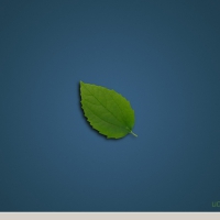 《金狐系统维护盘》十六周年纪念版（UD/ISO）最新版