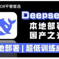 2025年deepseek R1 大型模型当地部署应用(文档 实例教程)本地部署，极低练习成本费
