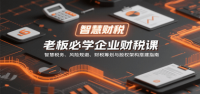 老板必学企业财税课：智慧税务、风险规避、财税筹划与股权架构搭建指南