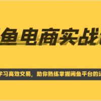 闲鱼电商实战课，系统学习高效交易，助你熟练掌握闲鱼平台的运营技巧