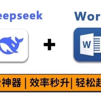 《DeepSeek办公应用》2025年效率直接起飞 超详细教程