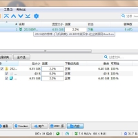 qBittorrent(强大的BT下载工具)v5.1.0.10中文绿色增强版