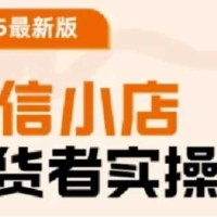 2025最新版微信小店带货者实操课，基础操作到高级运营技巧，快速上手