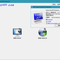 Hasleo EasyUEFI v6.0.1单文件版