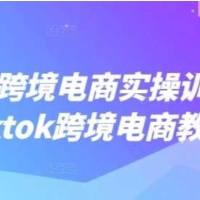 TikTok跨境电商实操训练营，tiktok跨境电商教程