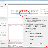 发票闪印 v3.0.0 免费电子PDF发票批量打印工具绿色版