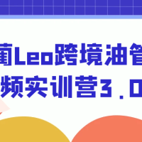阿蔺Leo跨境油管视频实训营3.0
