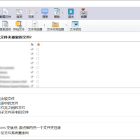 重复文件查找AllDup v4.5.70