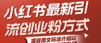小红书最新引流创业粉方式，项目图文玩法介绍以及如何安全倒流私域
