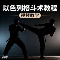 防身术以色列马伽术健身视频教程教学以色列格斗术