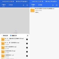Android 飞流下载器 v1.0.5 极简磁力下载工具