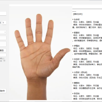 手相分析系统，基于中国传统手相学，融合五行手形识别、掌纹解析、掌丘分析、五指五行推演、综合运势预测等多维度分析能力
