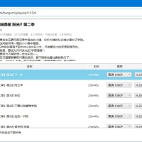 DownKyicore哔哩下载姬跨平台版v1.0.24绿色版