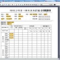 delphi源码基于HCView开发的电子病历程序