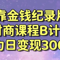 靠金钱纪录片售卖财商课程，暴力日变现3000+，喂饭式教学