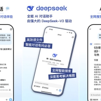 DeepSeek-AI R1联网满血版v6.0解锁终身会员版