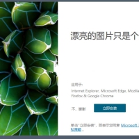 Bing Wallpaper微软壁纸v1.1.415中文多语免费版