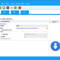 Allavsoft(在线视频下载工具) v3.28.0.9225 多语便携版