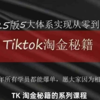 TikTok跨境2025淘金秘籍TikTok从0到盈利变现