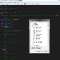 文本编辑器Notepad2 v4.22.03绿色版