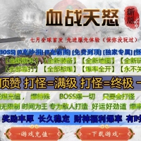 血战天怒专属沉默单职业版[GOM引擎]