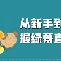 从新手到大师掌握绿幕直播核心