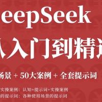 DeepSeek 从入门到精通：AI 效率革命，解锁你的无限可能