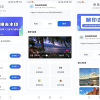 解印去水印 支持全网短视频+图集