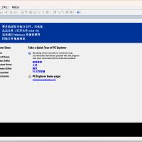 PEExplorer_199r5H