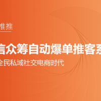 新风口！视频号自动爆单计划！人人都能赚！