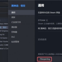黑神话：悟空 天命人替换mod