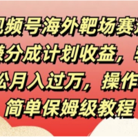 【视频号海外靶场赛道赚分成计划收益】轻松月入过万，操作简单保姆级教程